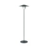 Ani Lampe