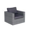 Cayman II Lounge Stuhl earl grey / dark anthrazit