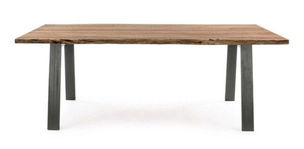 ARON Tisch 200 x 95 x 77 cm – Bild 2