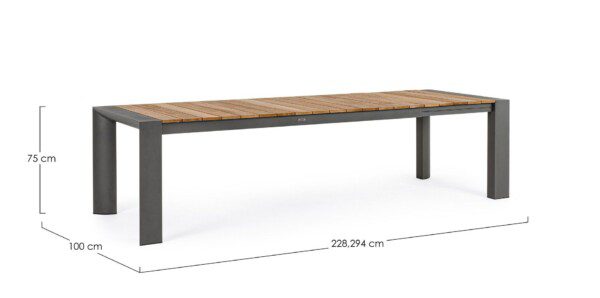 CAMERON Tisch 228 - 294 x 100 x H75 cm – Bild 12