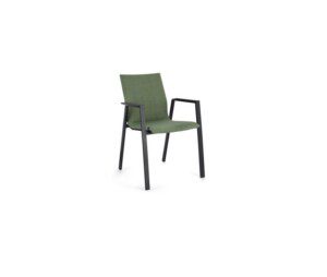ODEON Stuhl anthrazit / olive