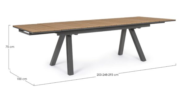 ELIAS Tisch 203 – 293 x 100 x H75 cm anthrazit – Bild 11