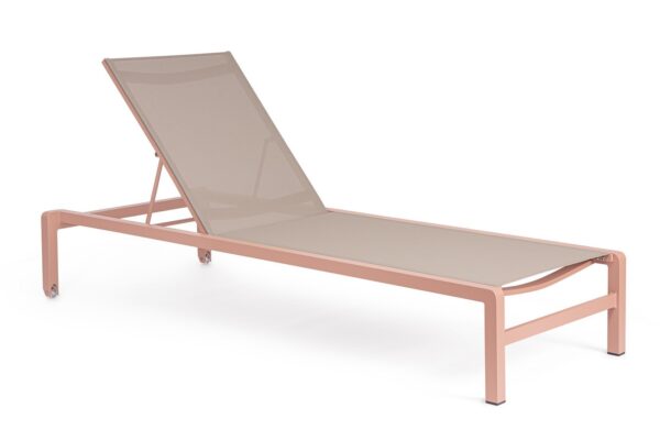 KONNOR Liege rose