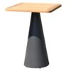 Medusa Bartisch 80 x 80 x H110 cm anthrazit / teak